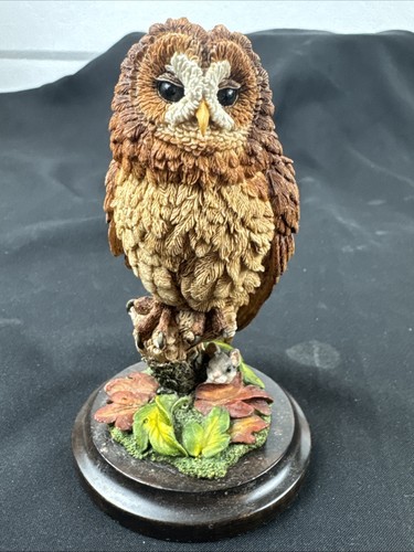 Country artists tawny owl - artists,