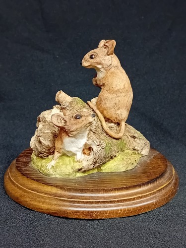 Country artists woodmice - country, and