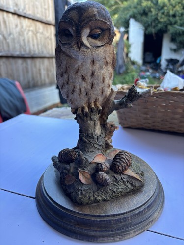 Country artists tawny owl - country,